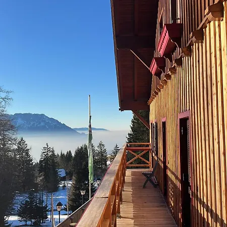 Деревянный коттедж Halleinerhaus By Soul Rebels Grossing (Liezen)